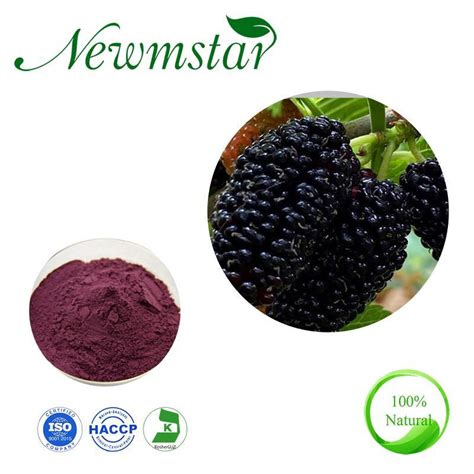 china mulberry fruit powder